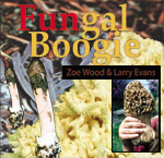 Fungal Boogie