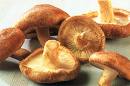 Shiitake