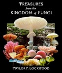 TREASURES from the KINGDOM of FUNGI DVD