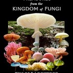 TREASURES from the KINGDOM of FUNGI DVD