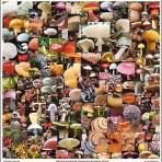 Treasures from the Kingdom of Fungi Poster
