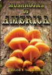 Mushrooms of America DVD