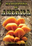Mushrooms of America DVD