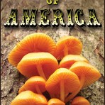 Mushrooms of America DVD