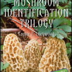 The Mushroom Identification Trilogy DVD