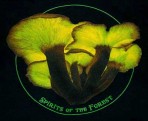 Spirits of the Forest T-shirt